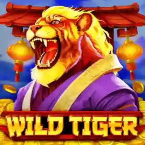 Wild Tiger by BGAMING, showcased at alf-casino.it – game logo